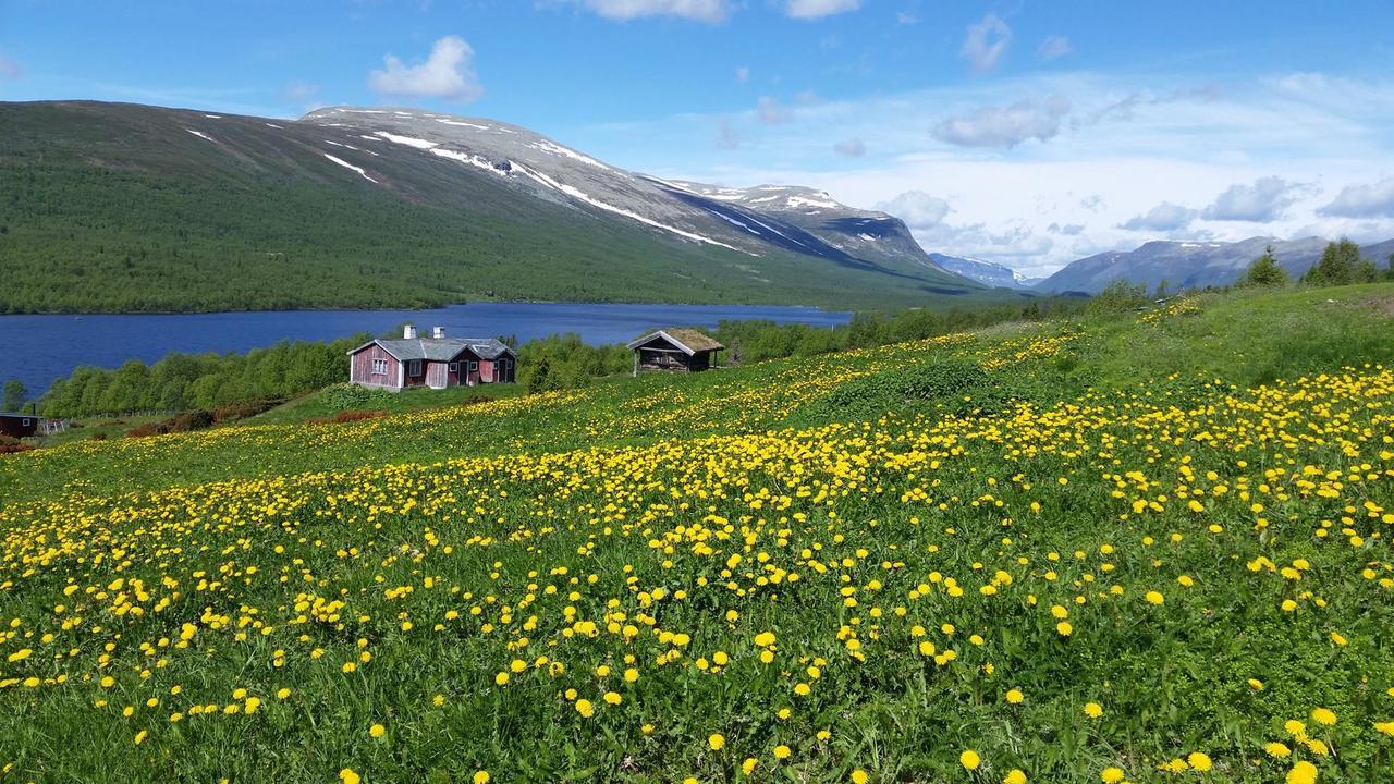 Hotel Gomobu Fjellstue Ron Esterno foto